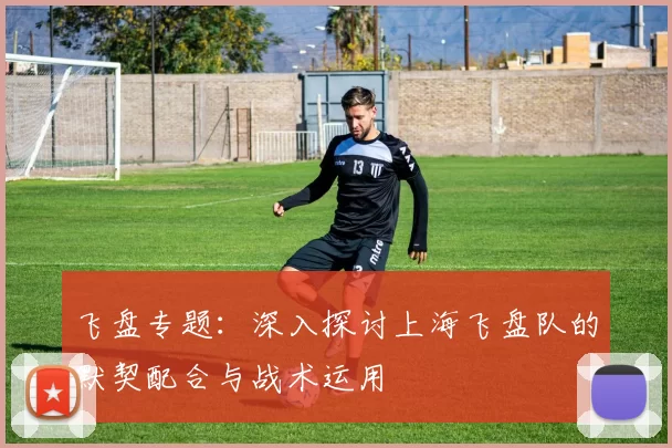 飞盘专题：深入探讨上海飞盘队的默契配合与战术运用