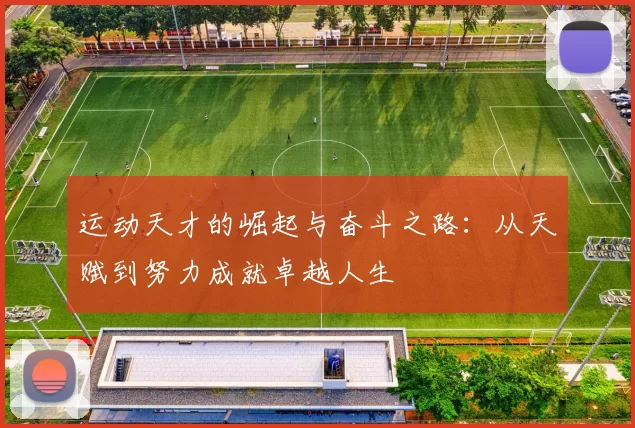 运动天才的崛起与奋斗之路：从天赋到努力成就卓越人生