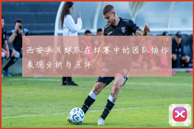 西安乒乓球队在杯赛中的团队协作表现分析与点评