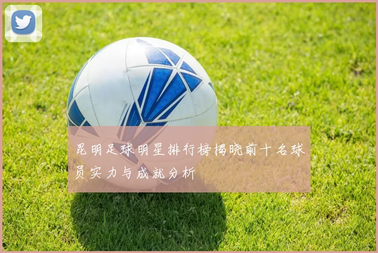 昆明足球明星排行榜揭晓前十名球员实力与成就分析