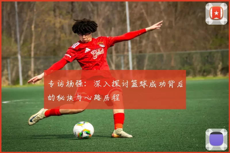 专访杨强：深入探讨篮球成功背后的秘诀与心路历程
