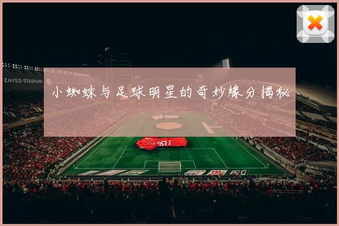 小蜘蛛与足球明星的奇妙缘分揭秘