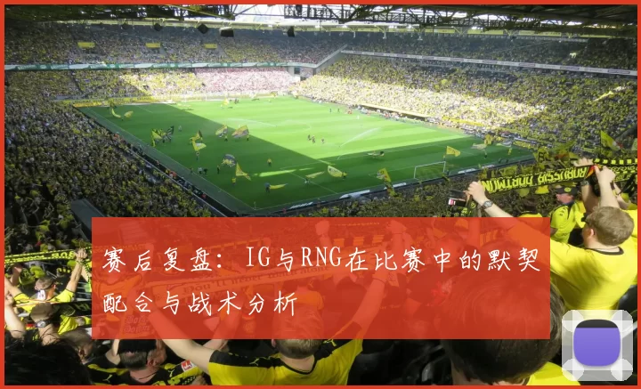 赛后复盘：IG与RNG在比赛中的默契配合与战术分析