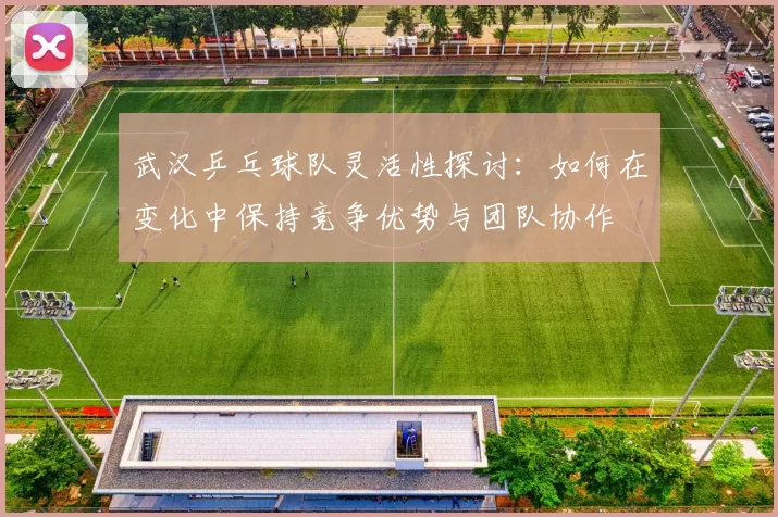 武汉乒乓球队灵活性探讨：如何在变化中保持竞争优势与团队协作