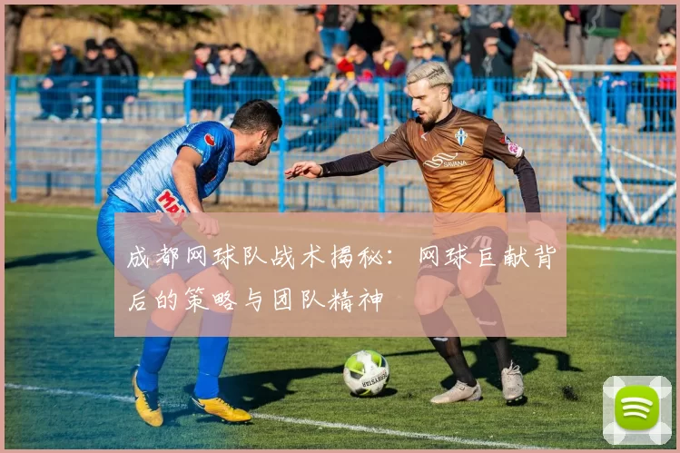 成都网球队战术揭秘：网球巨献背后的策略与团队精神