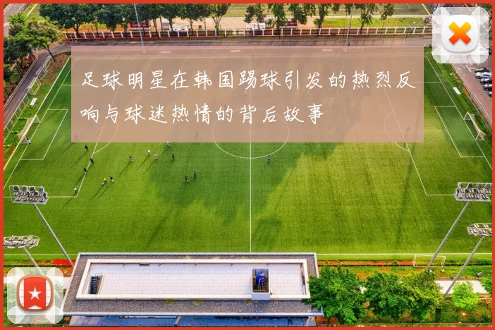 足球明星在韩国踢球引发的热烈反响与球迷热情的背后故事
