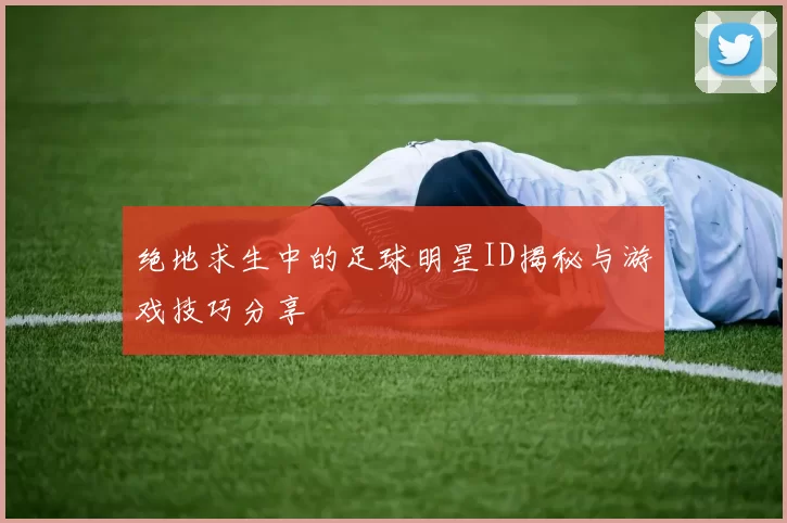 绝地求生中的足球明星ID揭秘与游戏技巧分享