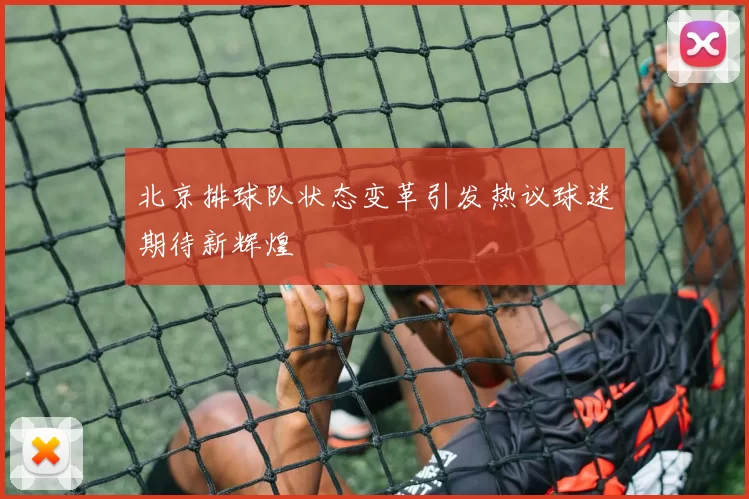 北京排球队状态变革引发热议球迷期待新辉煌