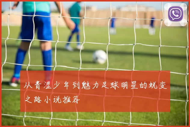 从青涩少年到魅力足球明星的蜕变之路小说推荐