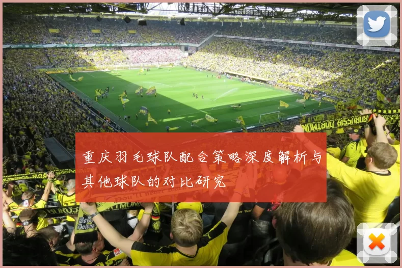 重庆羽毛球队配合策略深度解析与其他球队的对比研究