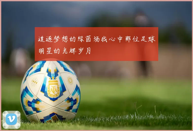 追逐梦想的绿茵场我心中那位足球明星的光辉岁月