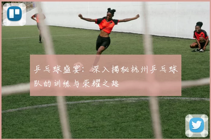 乒乓球盛宴：深入揭秘杭州乒乓球队的训练与荣耀之路