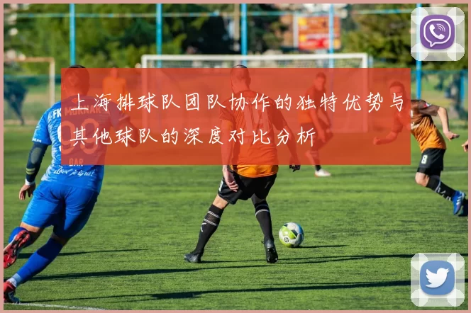 上海排球队团队协作的独特优势与其他球队的深度对比分析
