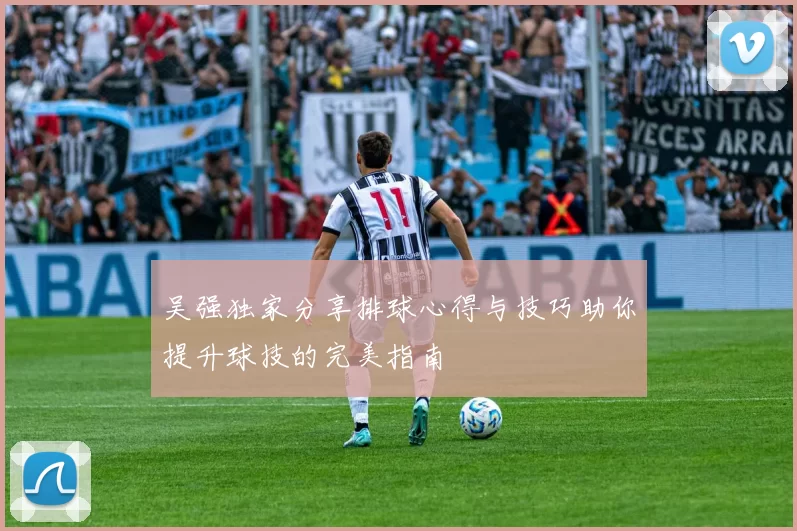 吴强独家分享排球心得与技巧助你提升球技的完美指南