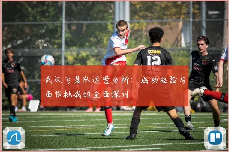 武汉飞盘队运营分析：成功经验与面临挑战的全面探讨