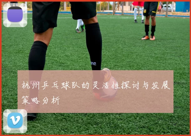 杭州乒乓球队的灵活性探讨与发展策略分析