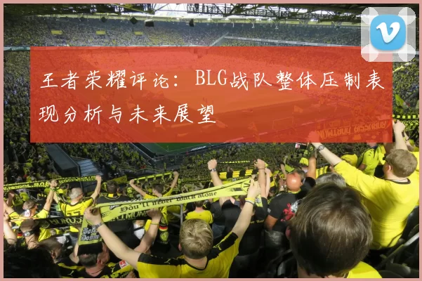 王者荣耀评论：BLG战队整体压制表现分析与未来展望
