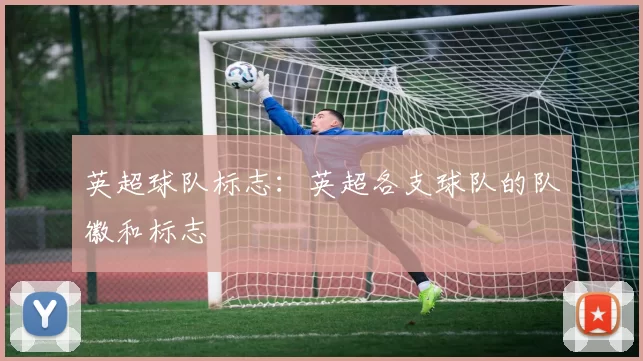 英超球队标志：英超各支球队的队徽和标志