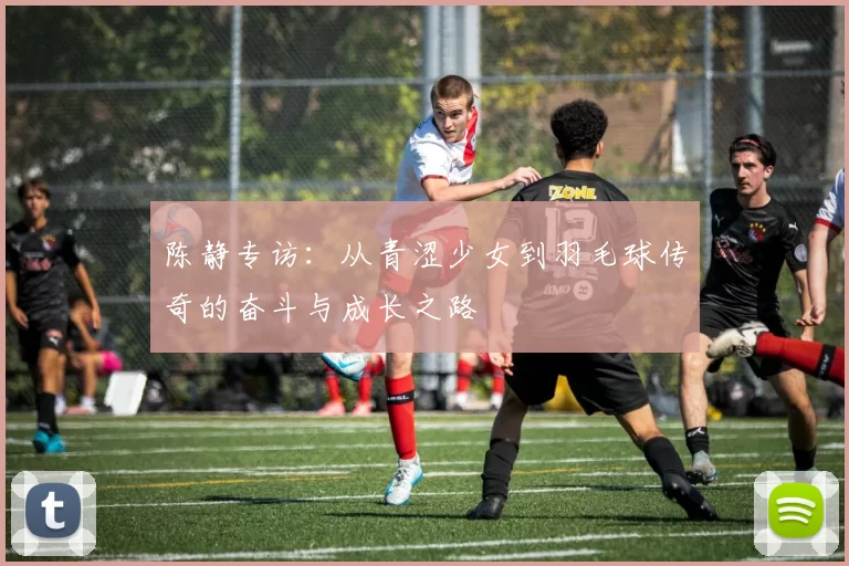 陈静专访：从青涩少女到羽毛球传奇的奋斗与成长之路