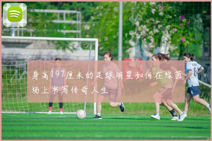 身高197厘米的足球明星如何在绿茵场上书写传奇人生
