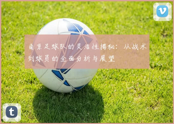 南京足球队的灵活性揭秘：从战术到球员的全面分析与展望