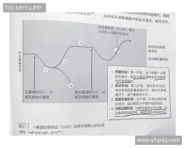 蛙泳技巧全解析：从入门到提高，掌握最科学的训练方法和常见误区